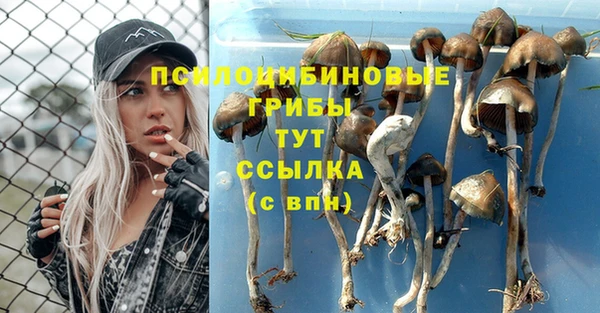 скорость Абаза
